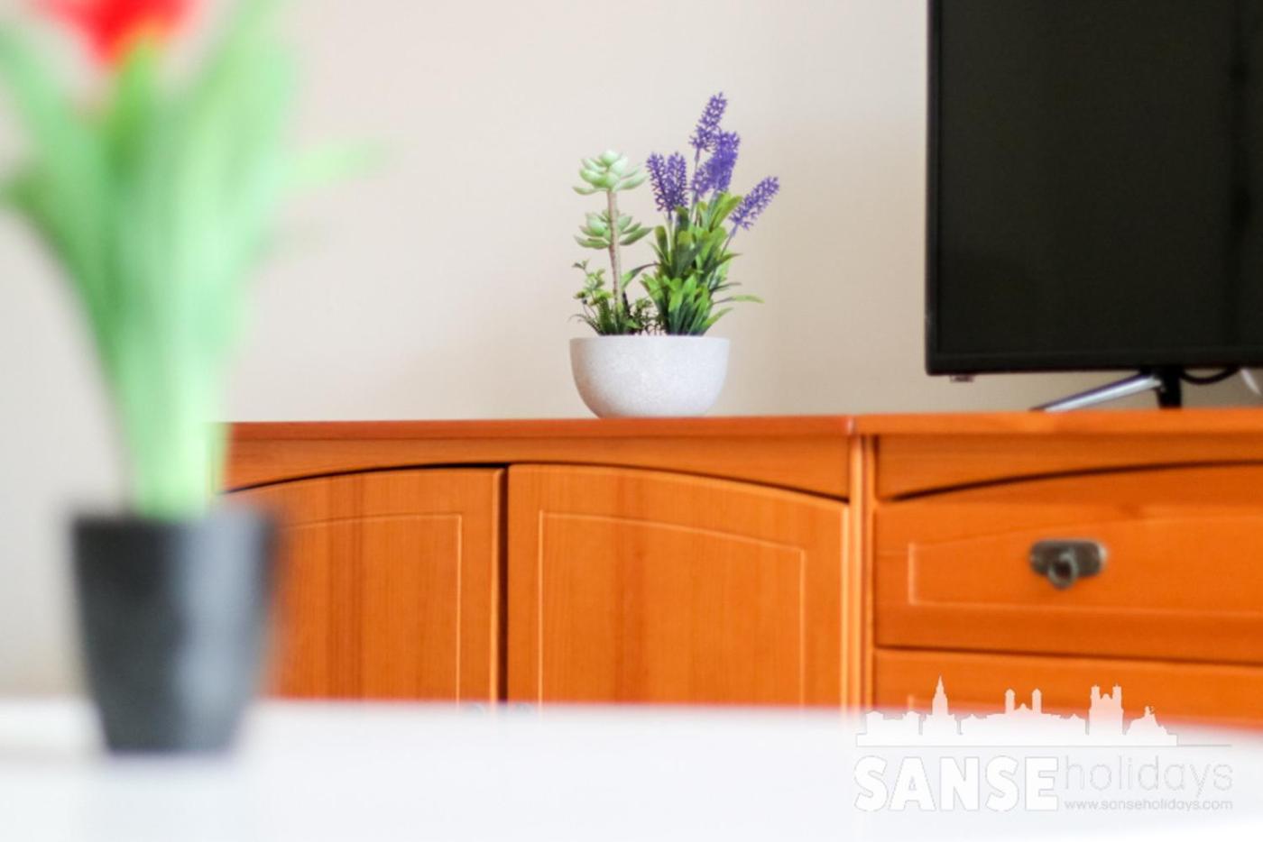 Apartamento Colon By Sanse Holidays Σαν Σεμπαστιάν Εξωτερικό φωτογραφία
